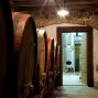 FINOVINO Sloveense wijnen – Wijnkelder